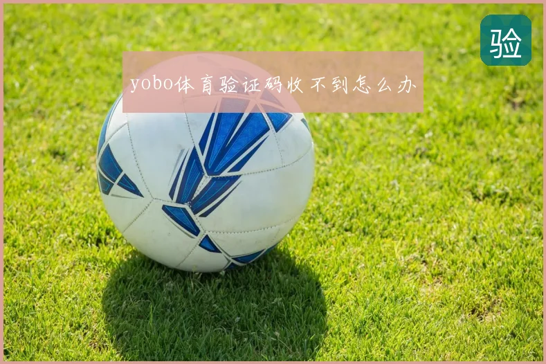 yobo体育验证码收不到怎么办